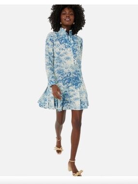 NWT Tuckernuck Tate Misty Blue Toile Pleated Mini Dress XXL